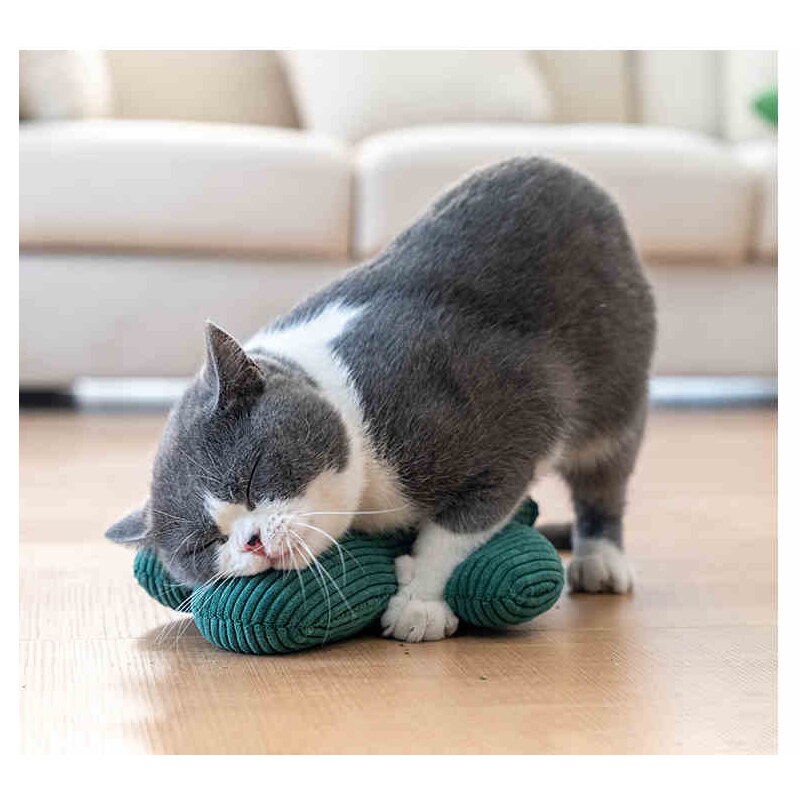 Cactus Pet Chewing Toy - Image 3
