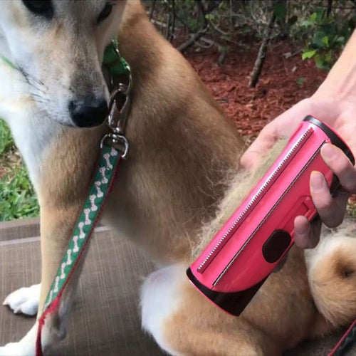 Double-Sided Pet Dog Hair Lint Roller - Image 0