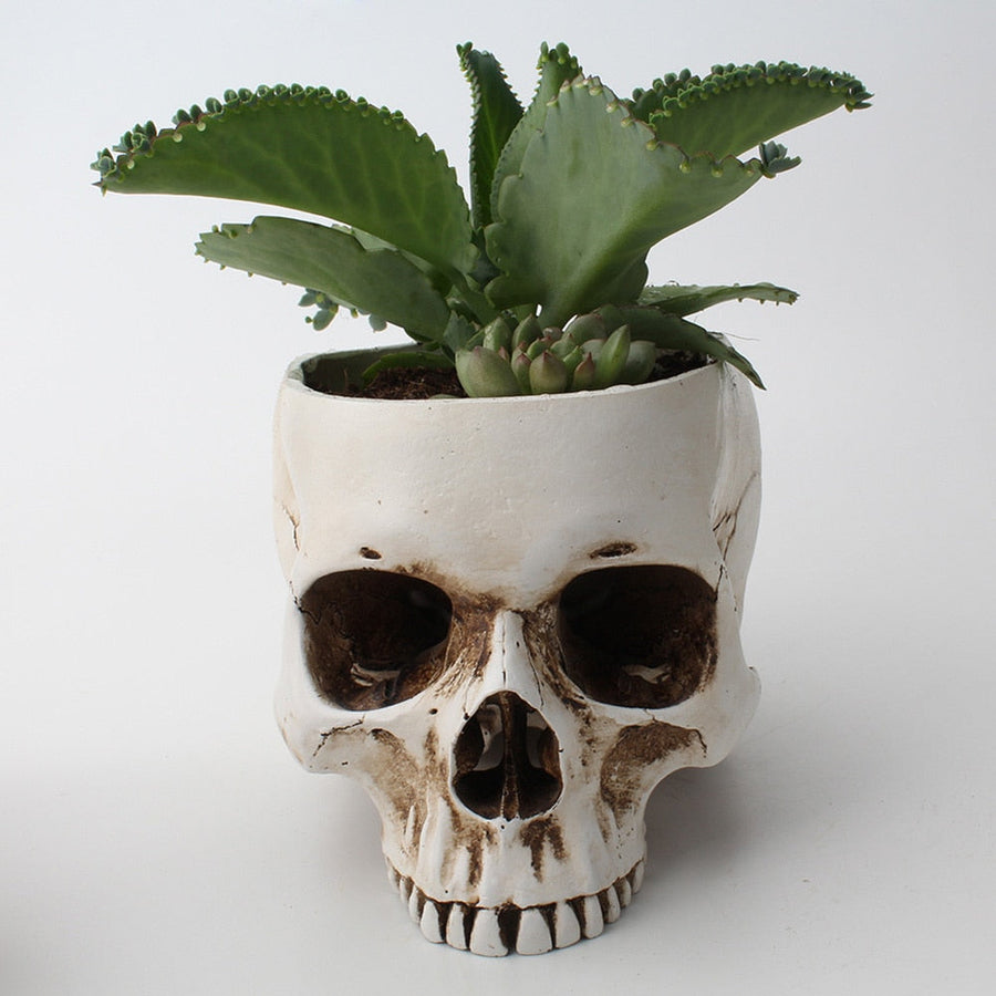 Impressive Realistic Skull Flower Vase - Image 7