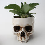 Impressive Realistic Skull Flower Vase