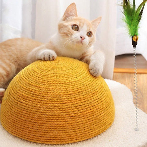 Egg Carrot Cat Scratching Board - Image 0