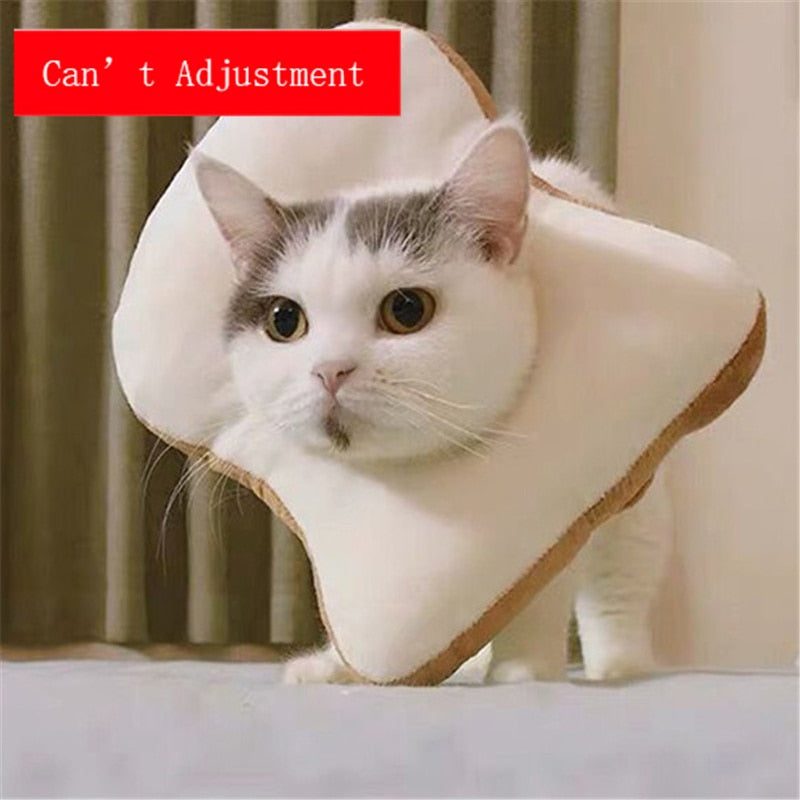 Soft Avocado-Shaped Pet Healing Collar