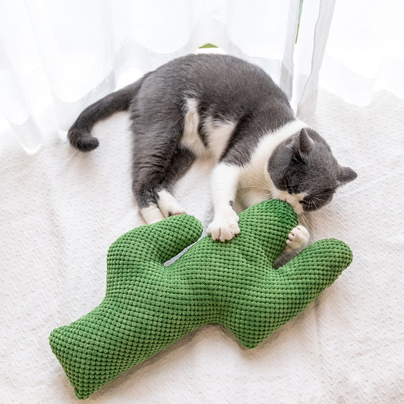 Cactus Pet Chewing Toy - Image 4