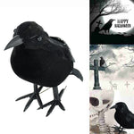 Black Crow Halloween Home Decor