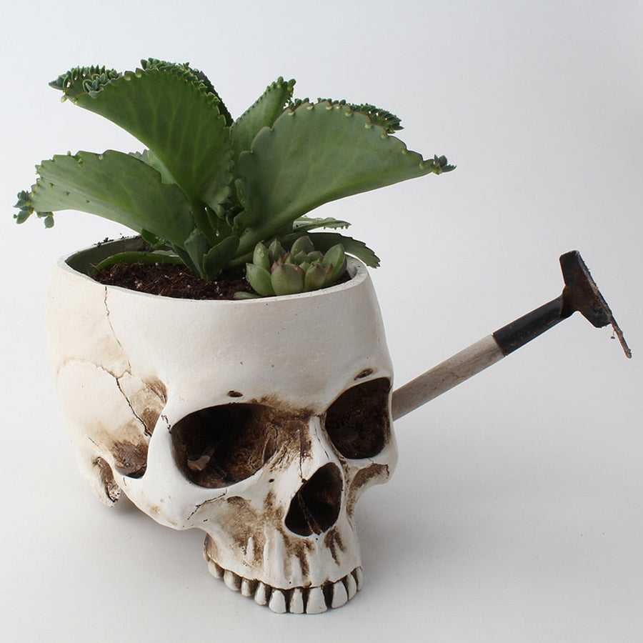 Impressive Realistic Skull Flower Vase - Image 0