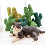 Cactus Pet Chewing Toy