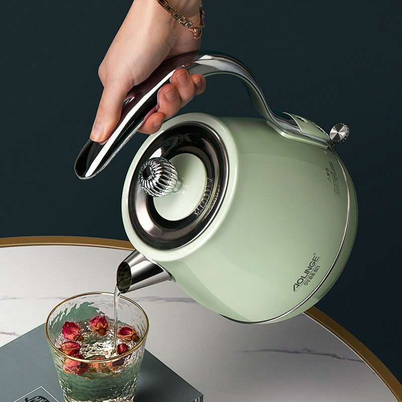 Elegant Retro Electric Simple Kettle - Image 0