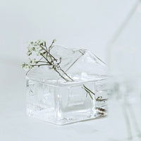 Simple Mini House Glass Flower Vase