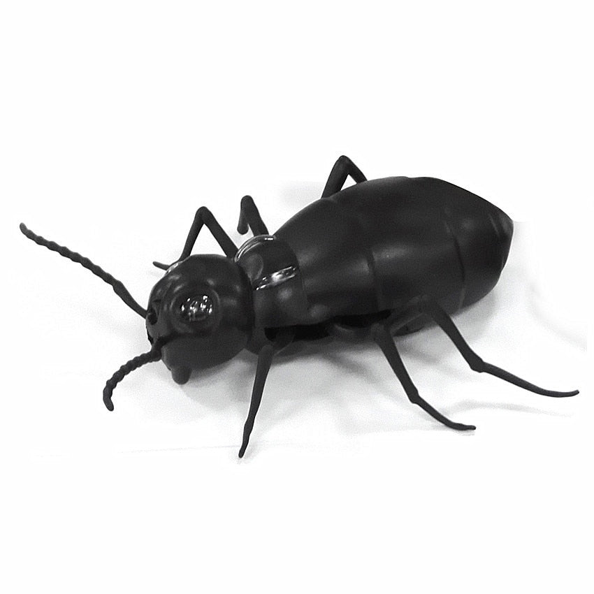 Remote Controlled Cockroach Bug Toy