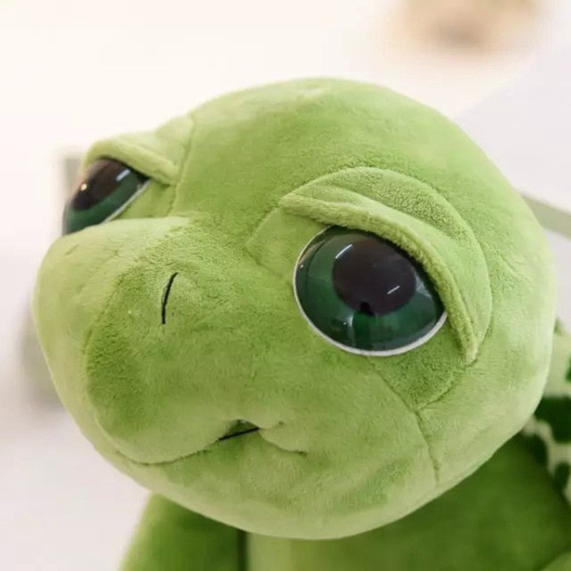 Big Eyes Turtle Plush Toys