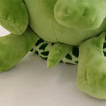 Big Eyes Turtle Plush Toys