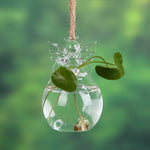 Angel Time Transparent Glass Vase