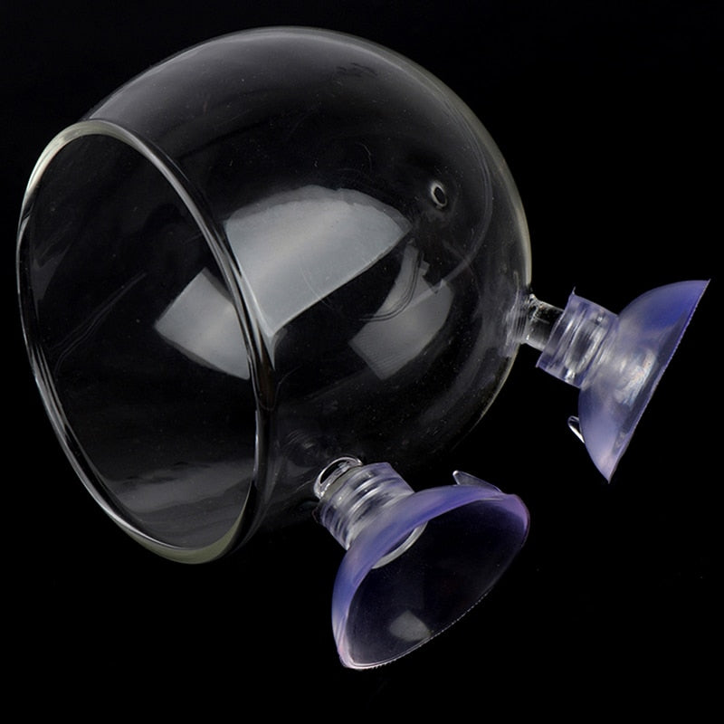 Creative Aquarium Fish Tank Glass Vase - Image 0