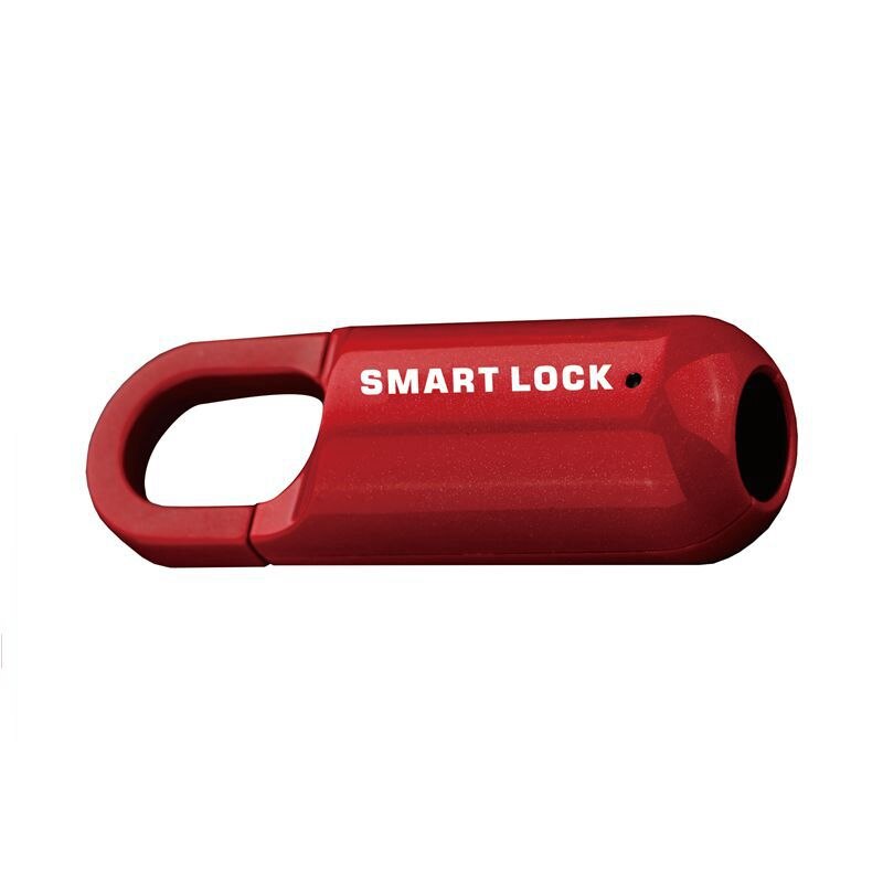 Mini Electronic USB Fingerprint Padlock