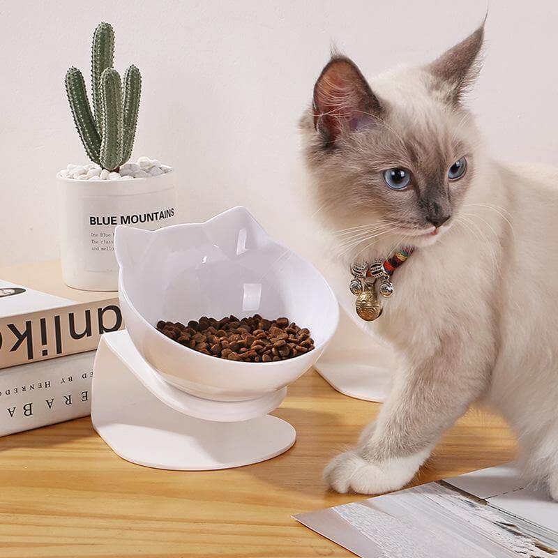 Non-Slip Pet Easy Feeder Bowl - Image 2