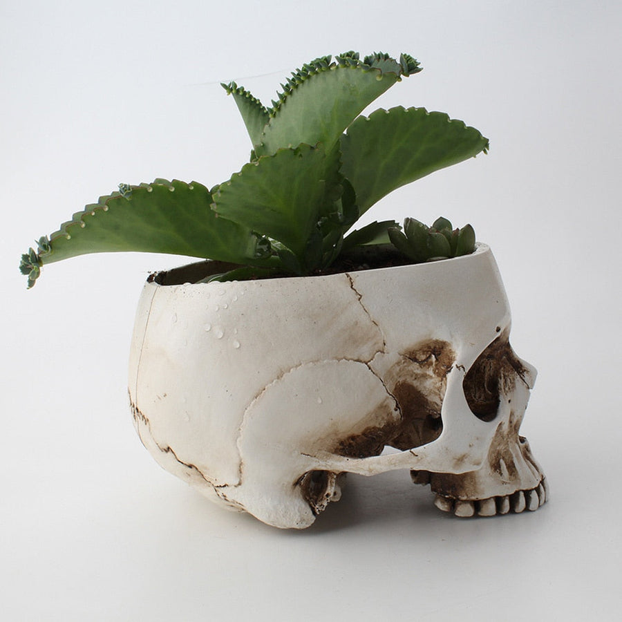 Impressive Realistic Skull Flower Vase - Image 4