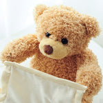 Peekaboo Teddy Bear Plush Toy