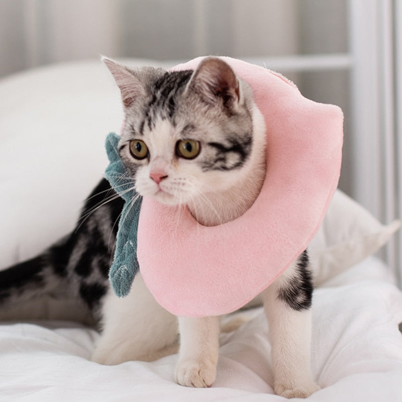 Soft Avocado-Shaped Pet Healing Collar