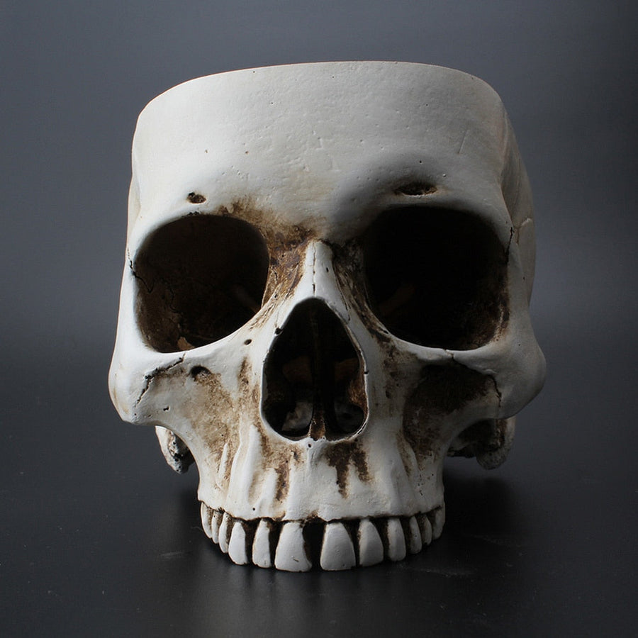 Impressive Realistic Skull Flower Vase - Image 9