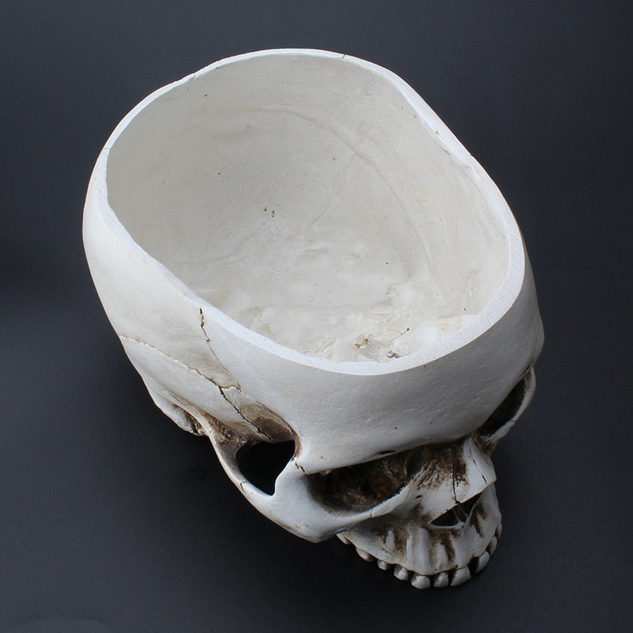 Impressive Realistic Skull Flower Vase - Image 10