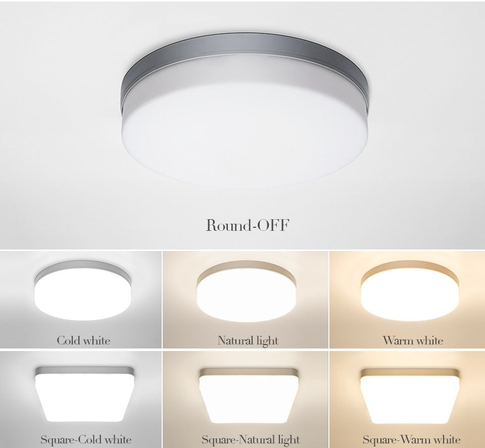 Natural Room Sleek LED Ceiling Light