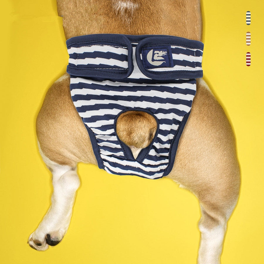 Creative Washable Dog Diaper - Image 0