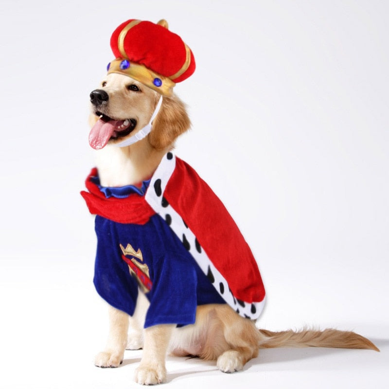 King Cute Pet Costume - Image 0