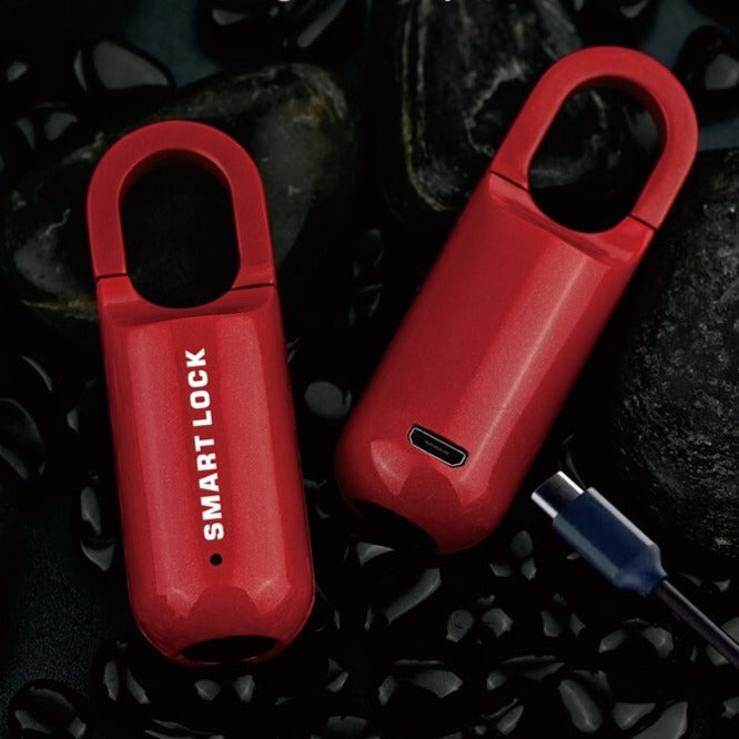 Mini Electronic USB Fingerprint Padlock - Image 0