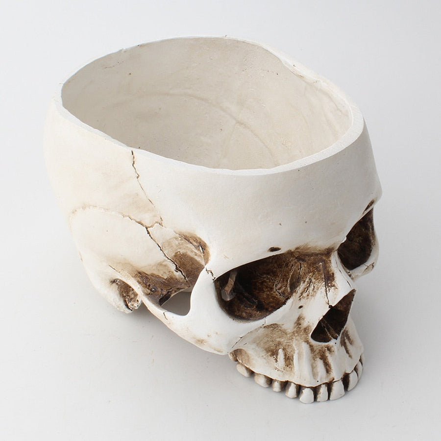 Impressive Realistic Skull Flower Vase - Image 11