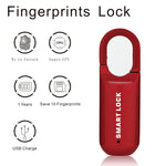 Mini Guard Smart Touch Anti-Theft Lock