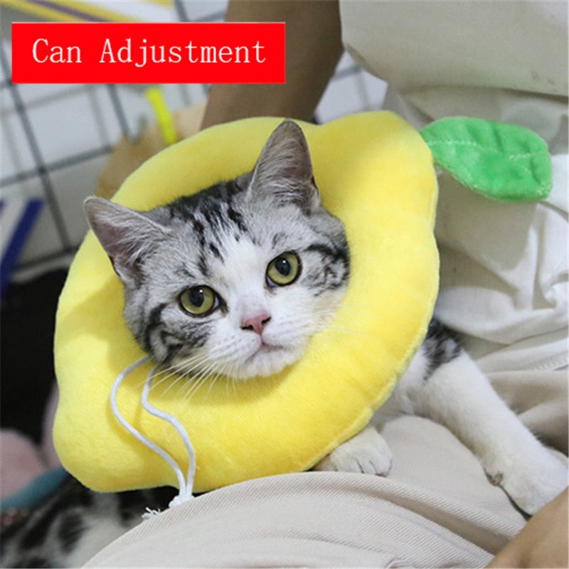 Soft Avocado-Shaped Pet Healing Collar