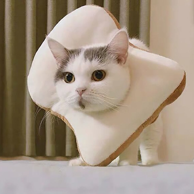 Soft Avocado-Shaped Pet Healing Collar - Image 2