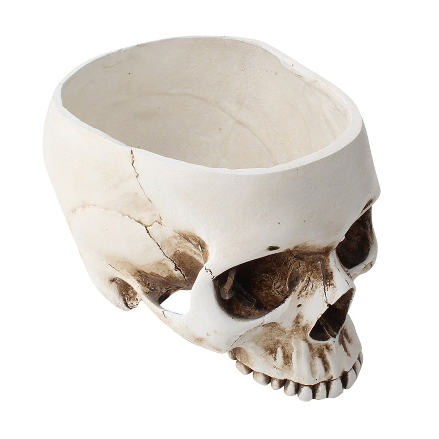 Impressive Realistic Skull Flower Vase - Image 3