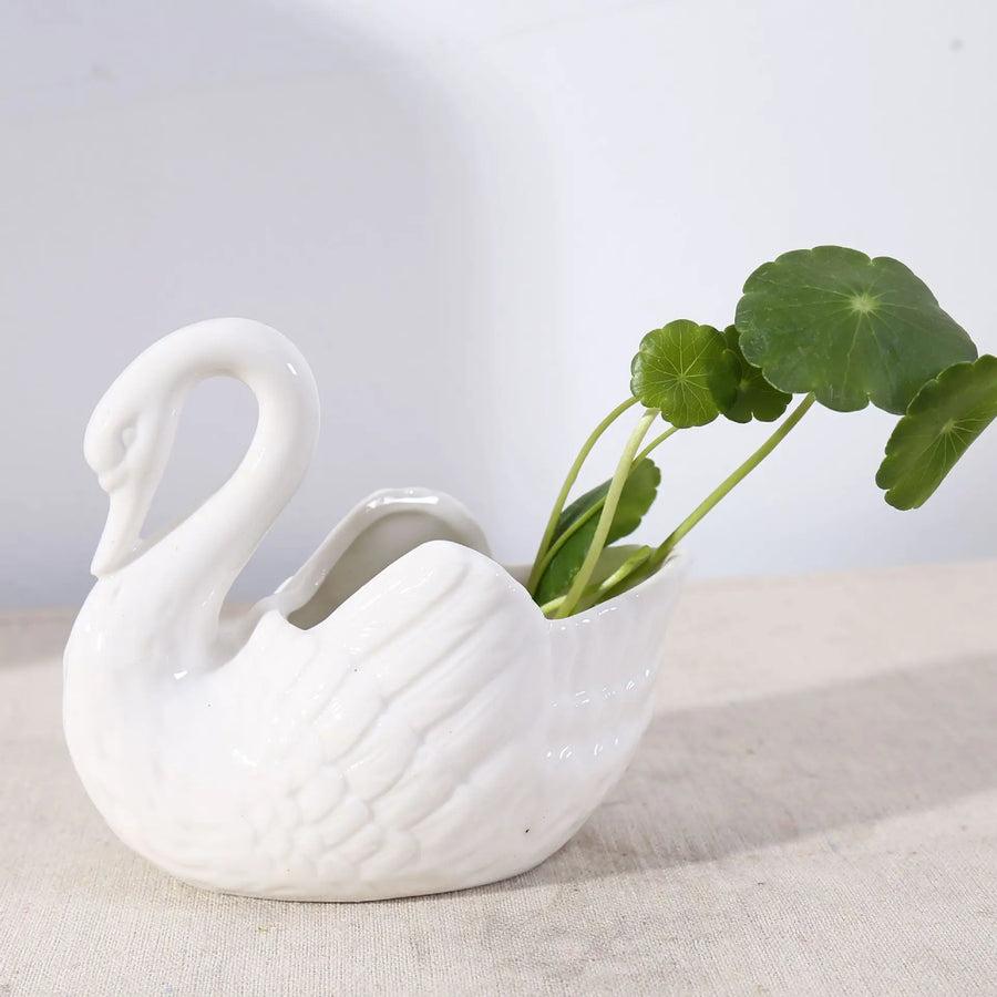 Swan Minimal Ceramic Pot - Image 0