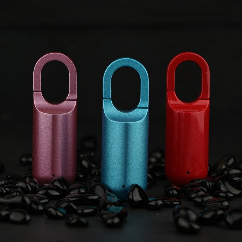 Mini Electronic USB Fingerprint Padlock