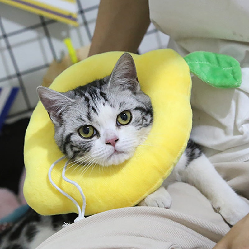 Soft Avocado-Shaped Pet Healing Collar