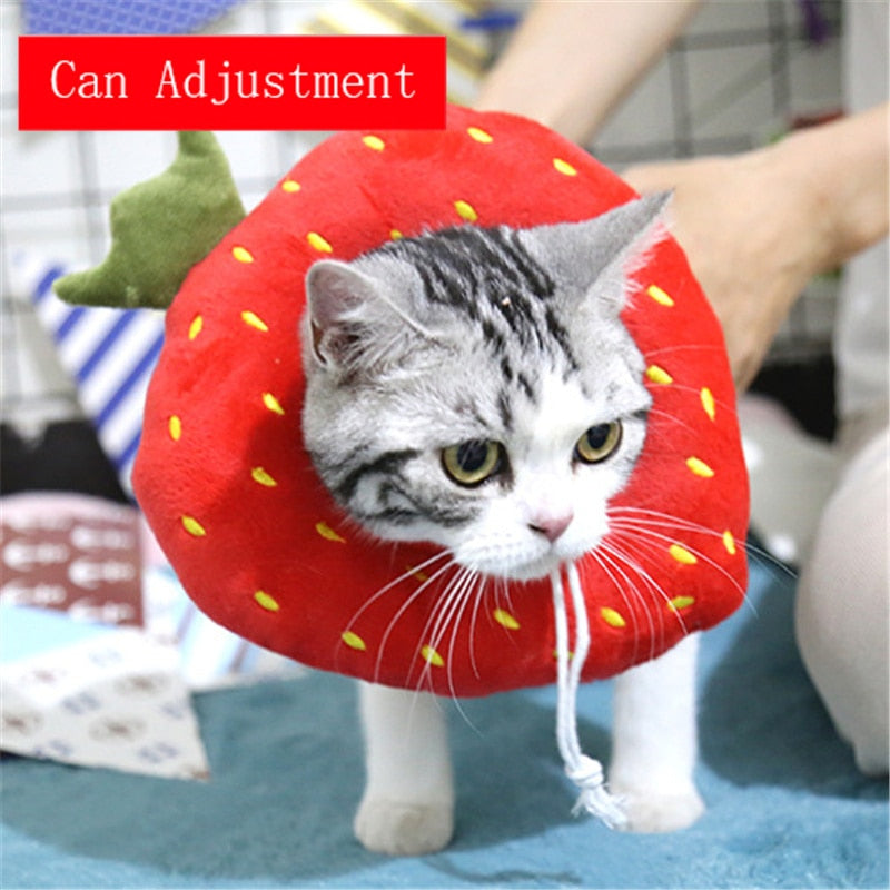 Soft Avocado-Shaped Pet Healing Collar