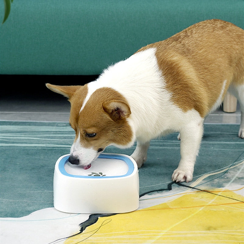 No-Spill Pet Water Dispenser Bowl