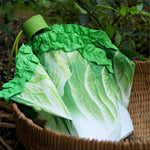 Lettuce Shaped Compact Umbrella