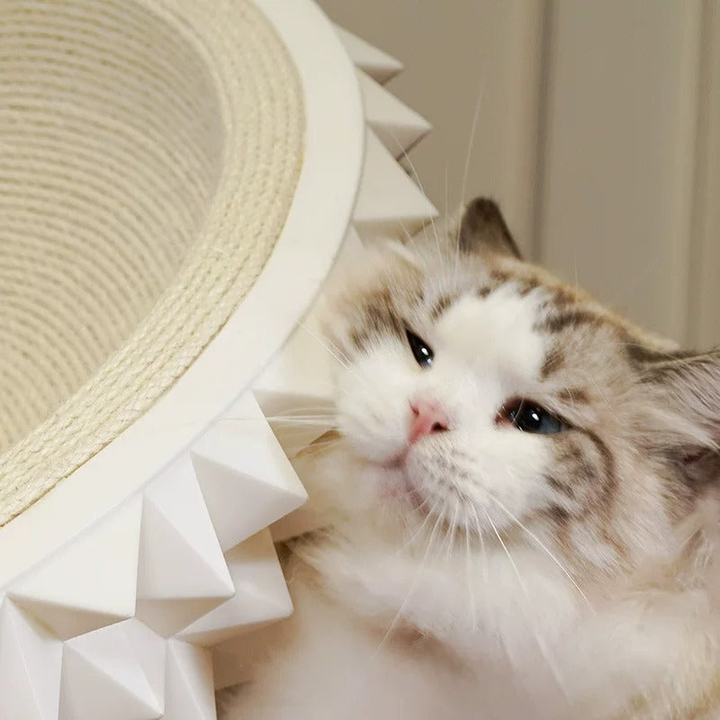 Durian Den Cat Scratching Lounge Bed