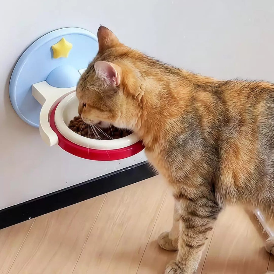 Fresh Bite Elevated Pet Bowl