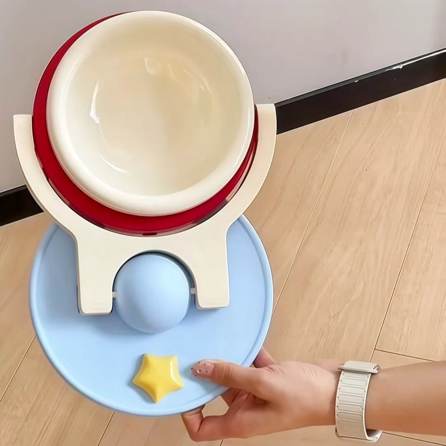 Fresh Bite Elevated Pet Bowl