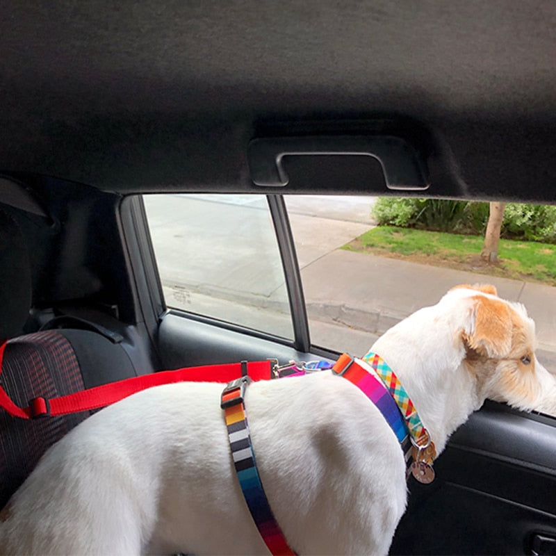 Adjustable Secure Pet Car Seat Belt - Image 1