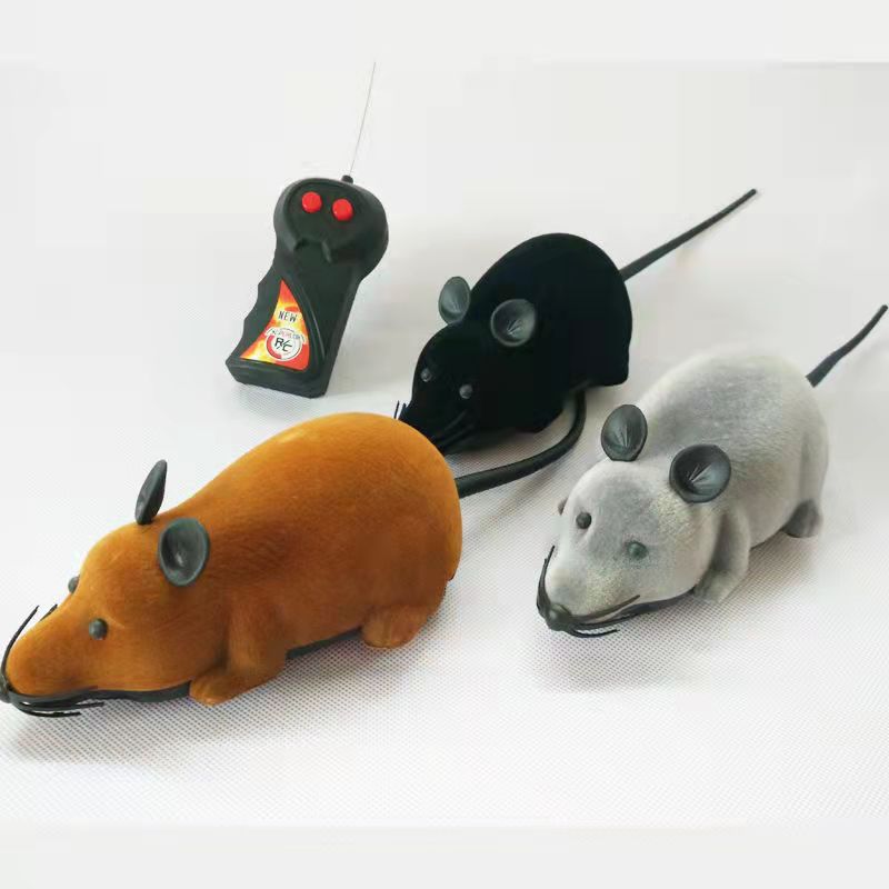 Pet Interactive Remote Control Toy