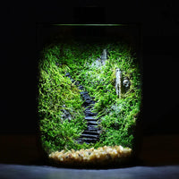Mini Forest Maker Terrarium Decor Vase - Image 1
