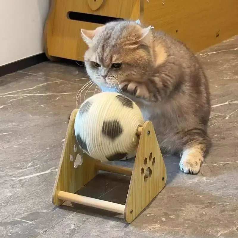 Mini Football Cat Exercise Training Toy Stand - Image 4