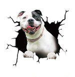 Car Scratch Hider 3D Puppy Sticker