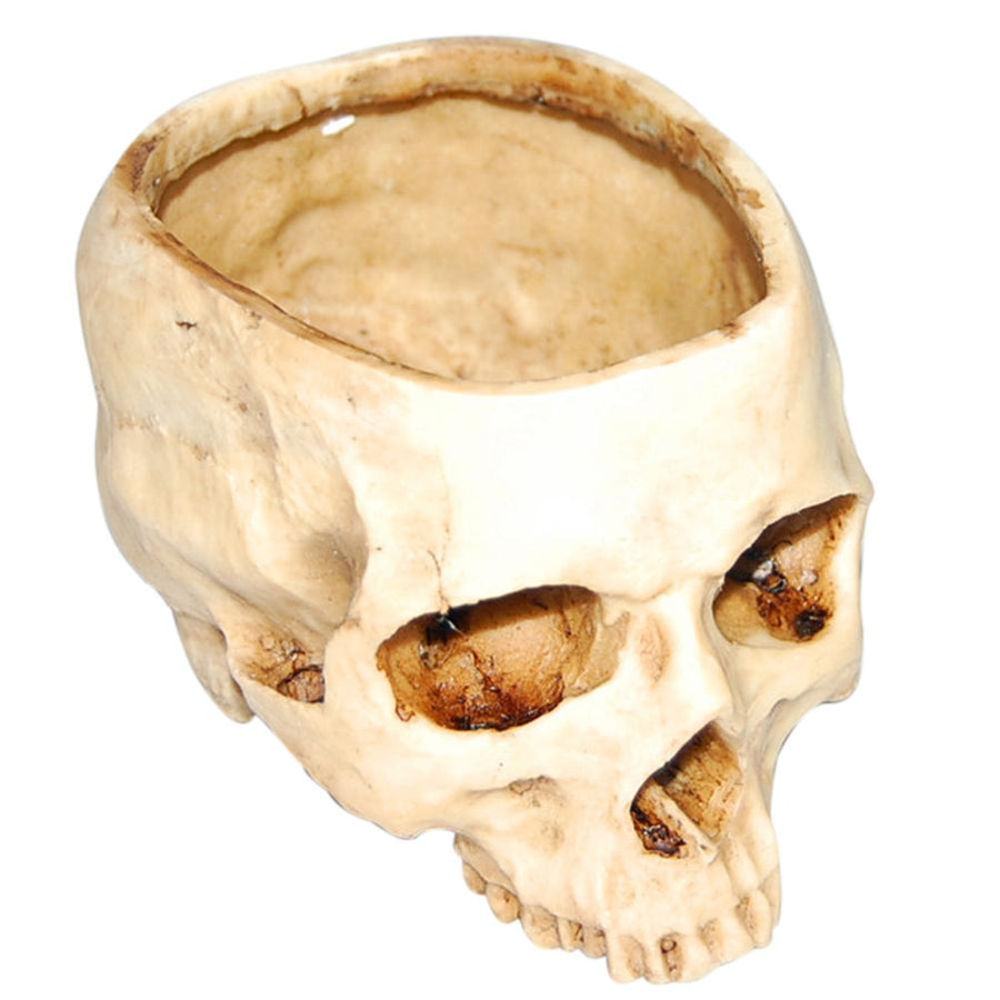 Impressive Realistic Skull Flower Vase - Image 2
