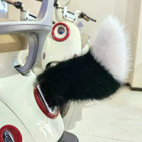 My Sweet Tail Vehicle Decor - Image 1