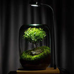 Micro Landscape Green Oasis Glass Vase